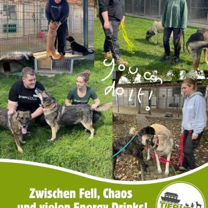 Morgen ist&rsquo;s soweit.
Der letzte gro&szlig;e Schritt nach drei Jahren Ausbildung.?

Till und Mereth haben den schriftlichen Teil schon hinter sich gebracht &mdash; und morgen wartet jetzt noch die praktische Abschlusspr&uuml;fung zur Tierpflegerin und zum Tierpfleger.

Und wenn wir ehrlich sind:
Diese Ausbildung besteht aus so viel mehr als nur Lernen und Pr&uuml;fungen. Es waren drei Jahre voller fr&uuml;her Morgen, sp&auml;ter Abende, Stress, Chaos, tausend Karteikarten, Energy Drinks auf Vorrat und wahrscheinlich auch dem ein oder anderen &bdquo;Warum tue ich mir das eigentlich an?&ldquo;-Moment. ?

Aber eben auch drei Jahre voller Herzblut, Zusammenhalt, ganz viel Leidenschaft f&uuml;r Tiere, unendlich vieler Lacher und Momente, die man nie vergisst.

Die beiden haben sich da mit so viel Einsatz durchgek&auml;mpft und sind wirklich vorbereitet bis in die Haarspitzen, absolute Klassenstreber, aber auf die sympathische Art.?
Wir sind einfach unglaublich stolz auf euch beide und freuen uns jetzt schon darauf, euch bald offiziell ausgelernt nennen zu d&uuml;rfen.

Also: Morgen nochmal alles geben, ihr packt das! ❤️

Und an euch da drau&szlig;en:
Haut den beiden doch ein bisschen Motivation f&uuml;r morgen in die Kommentare. ?
Ein paar liebe Worte, Gl&uuml;ckw&uuml;nsche oder einfach ein &bdquo;Ihr schafft das!&ldquo; k&ouml;nnen vor so einem Tag manchmal mehr helfen als der zehnte Energy Drink. ??