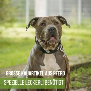 Uns sind die großen Kauartikel aus pur Pferd ausgegangen. 
Viele von unseren Hunde vertragen nur die. Wir würden uns sehr über Spenden freuen. 
Schaut auch gern bei unserer Amazon Wunschliste vorbei.