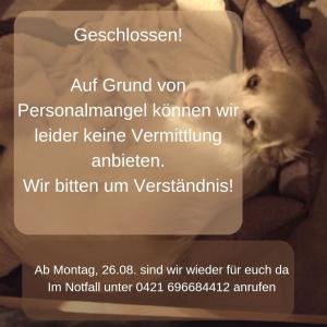 Keine Öffnungszeiten 22.08.-25.08.

Liebe Tierheim- Freunde, 
leider müssen wir unsere Öffnungszeiten für die nächsten Tage aussetzen. Personalmangel und der hohe Tierbestand sind der Grund hierfür. Die Pflege der Tiere steht für uns immer an erster Stelle und dafür benötigen wir Zeit. 
Sehr nehmen vereinzelte Termine für die Vermittlung an. Dafür meldet euch bitte unter th-arche-noah@bmt-tierschutz.de oder 0421 890171

Wir bitten um Verständnis, wir tun dies nicht um jemanden zu verärgern, sondern damit wir uns gut um unsere Schützlinge kümmern zu können. 

Am voraussichtlich Montag sind wir wieder für da.