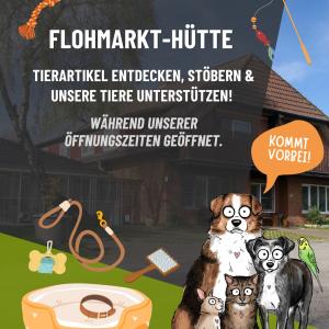 St&ouml;bern, entdecken und dabei Gutes tun!

Zu unseren &Ouml;ffnungszeiten habt ihr die M&ouml;glichkeit, tolle Tierartikel aus unserer Flohmarkt-H&uuml;tte zu erwerben &ndash; von Zubeh&ouml;r &uuml;ber Spielzeug bis hin zu vielen kleinen Sch&auml;tzen f&uuml;r Tierfreunde.

Der Erl&ouml;s kommt direkt unseren Tieren zugute. ❤️

Wenn ihr st&ouml;bern m&ouml;chtet, meldet euch bitte kurz vorne im Eingangsbereich &ndash; dort erhaltet ihr den Schl&uuml;ssel f&uuml;r die Flohmarkt-H&uuml;tte.

Kommt vorbei, schaut euch um und unterst&uuml;tzt unsere Fellnasen mit jedem Einkauf! ??