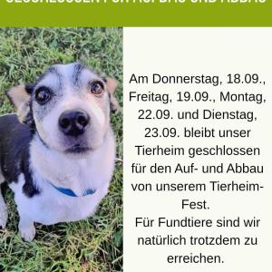 GESCHLOSSEN WEGEN AUF- UND ABBAU
Am Donnerstag, 18.09., Freitag, 19.09., Montag, 22.09. sowie Dienstag, 23.09. bleibt unser Tierheim aufgrund der Vor- und Nachbereitungen für unser Tierheimfest geschlossen.

Für Fundtiere sind wir selbstverständlich weiterhin erreichbar.